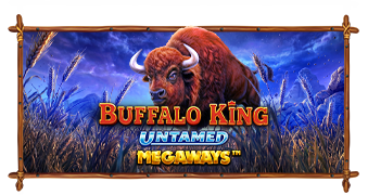 Buffalo King Megaways image